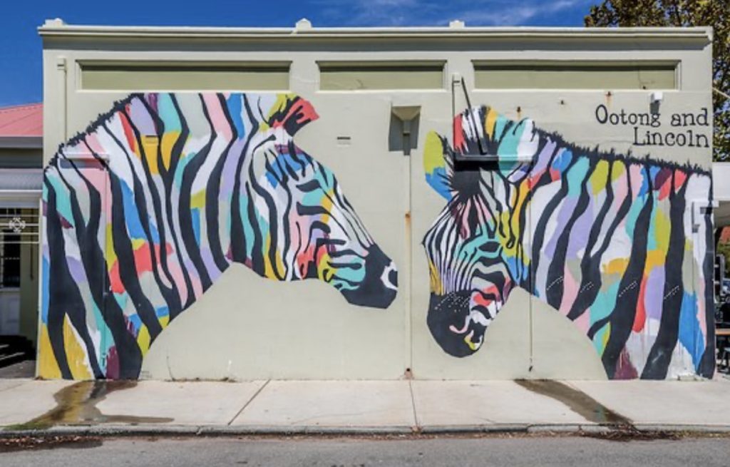 zebra wall mural instagram worthy 